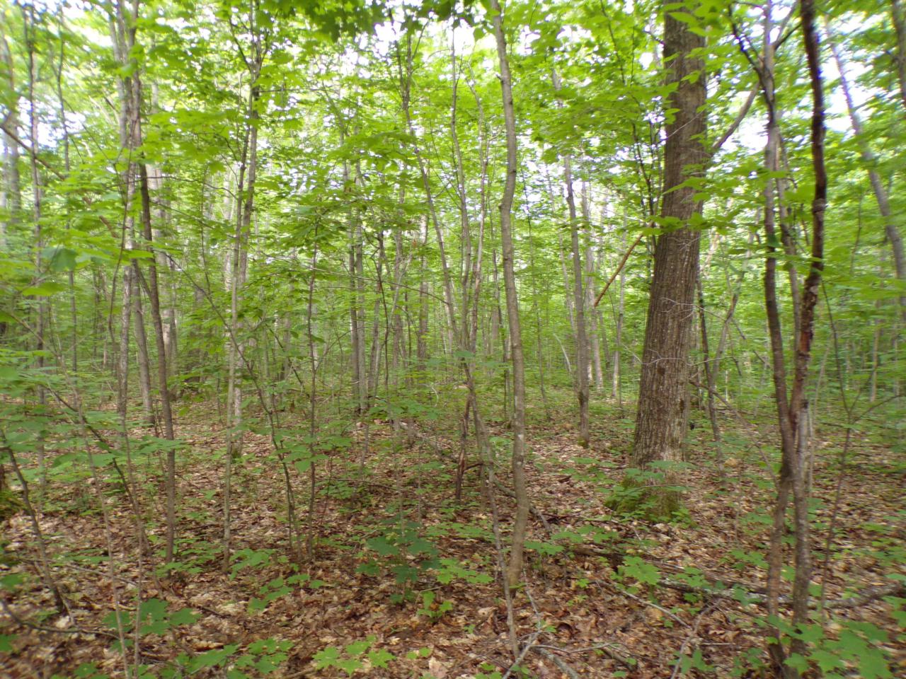Dow Road - Photo 1