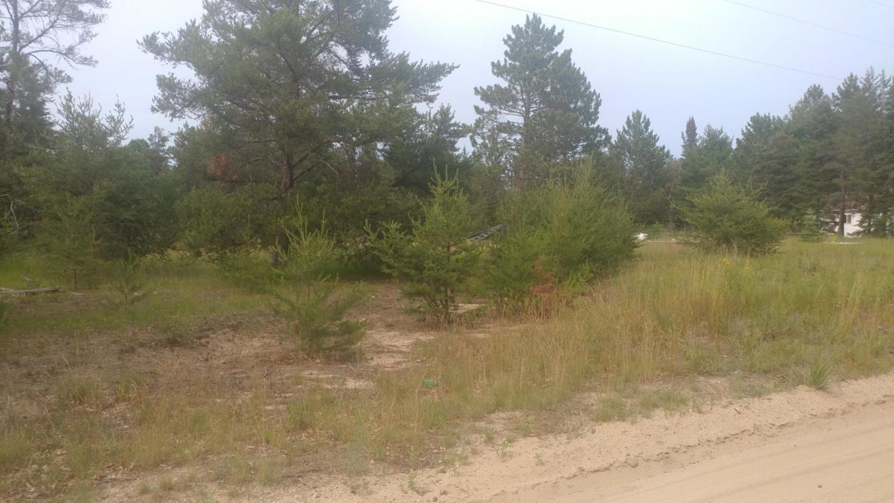 585 Russell Road - Photo 1