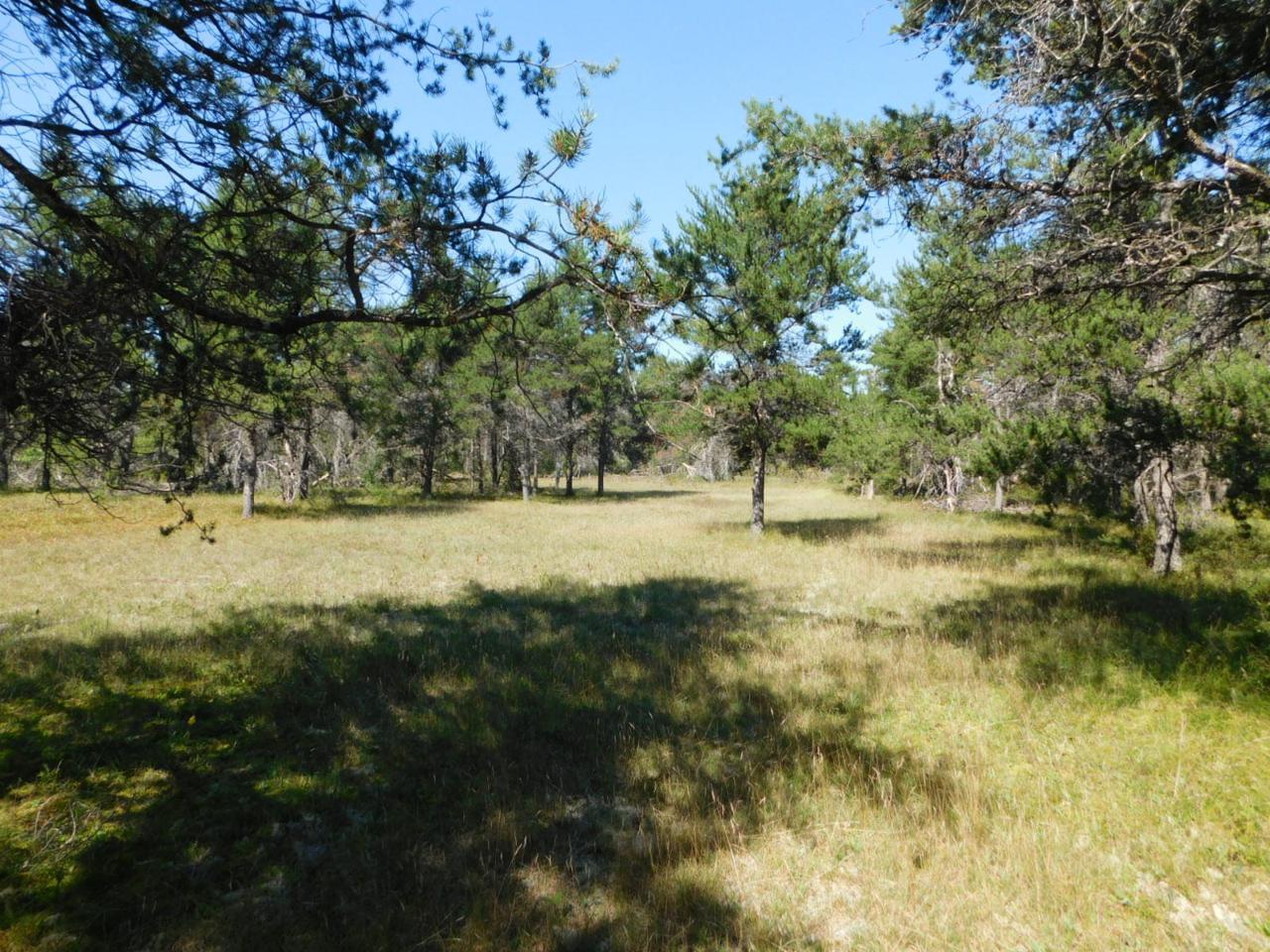 Lovells Road - Photo 1