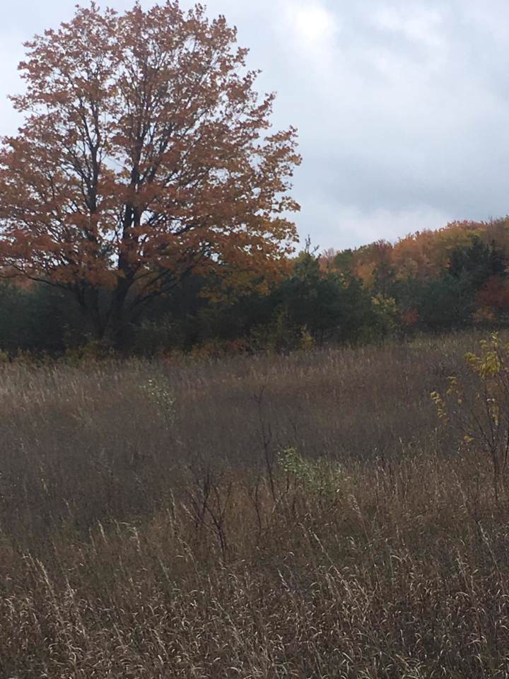 TBD Sturgeon Bay Trail - Photo 1