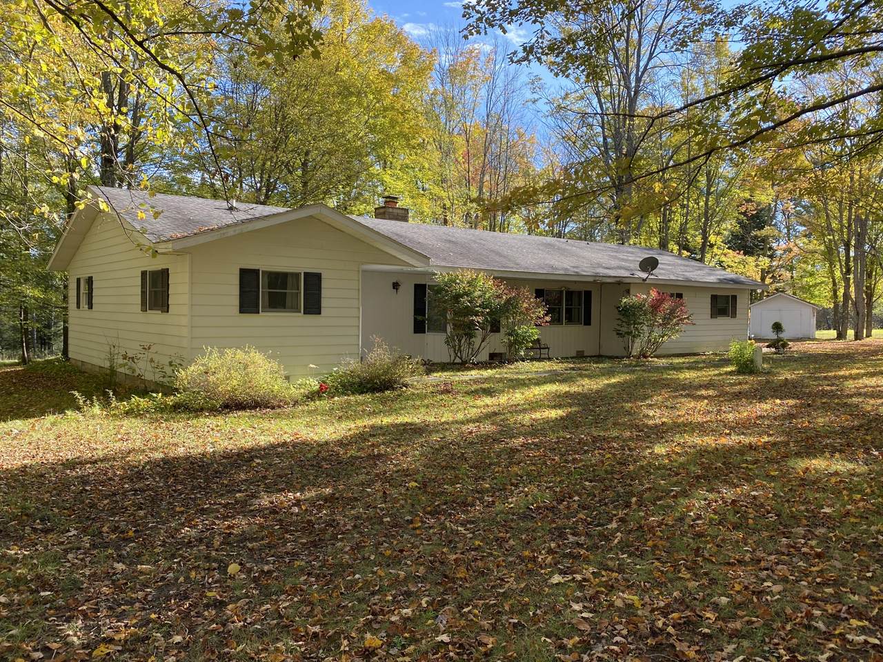9955 Hall Road - Photo 1