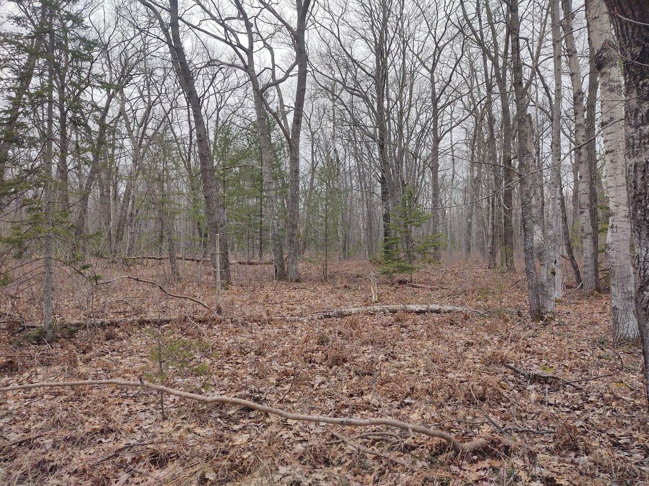 Pawnee Trail - Photo 1