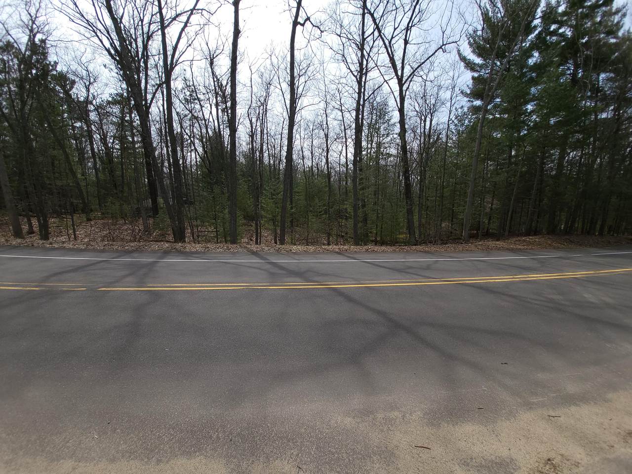 Lots 38-41 Higgins Lake Drive - Photo 1