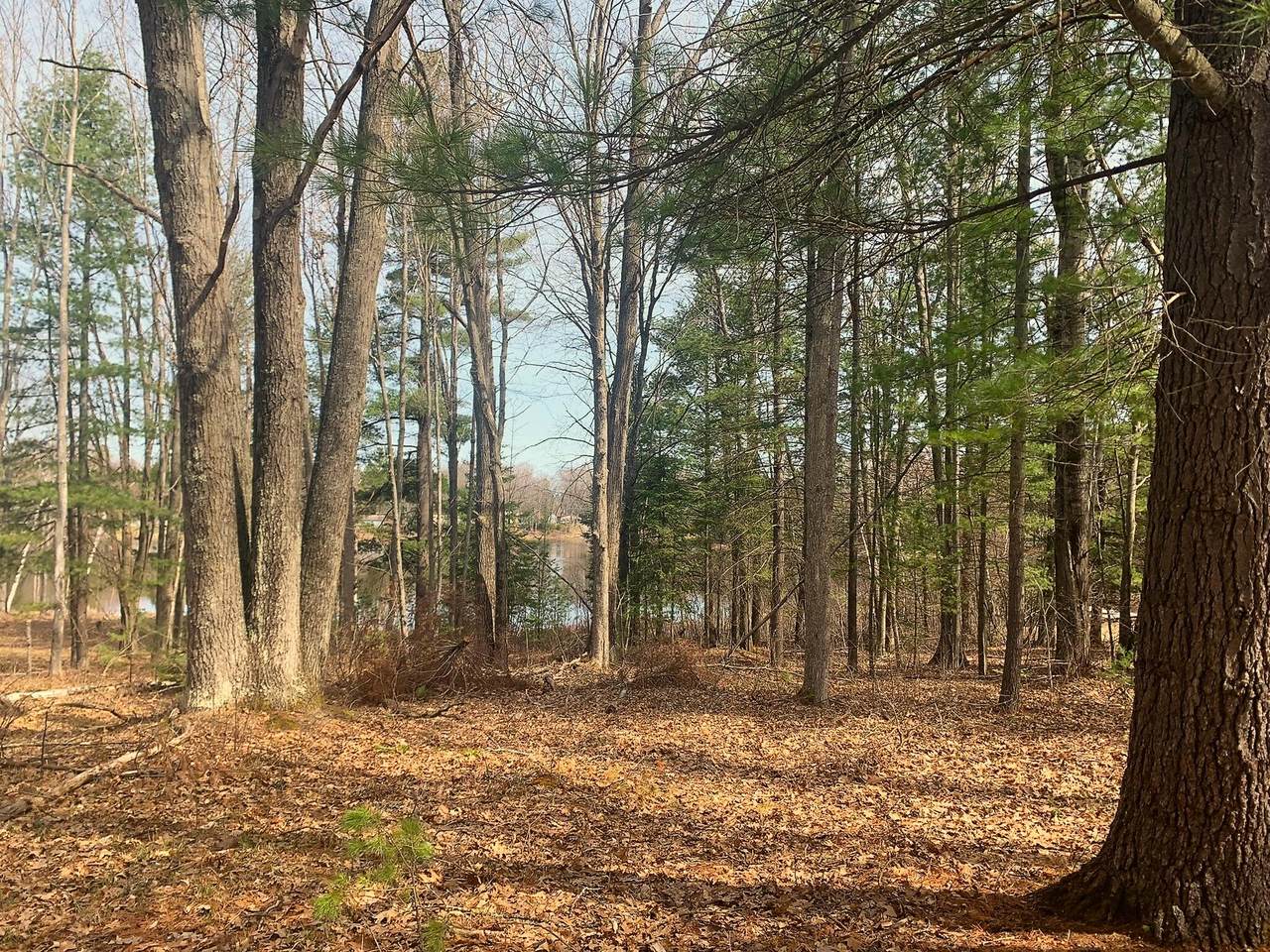 Lot 142 Hiawatha Trail - Photo 1
