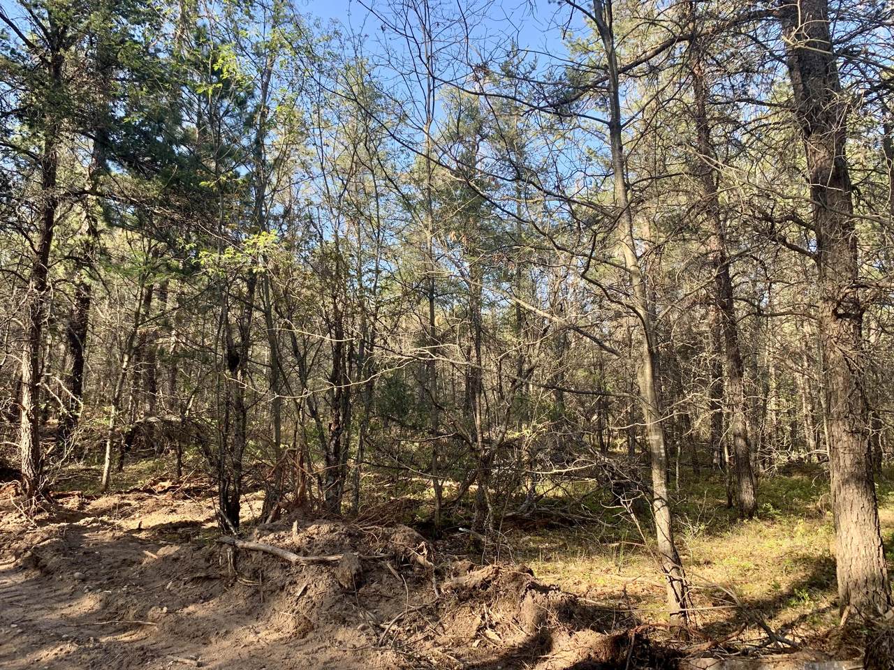 0002 Helmer Lake Road - Photo 1