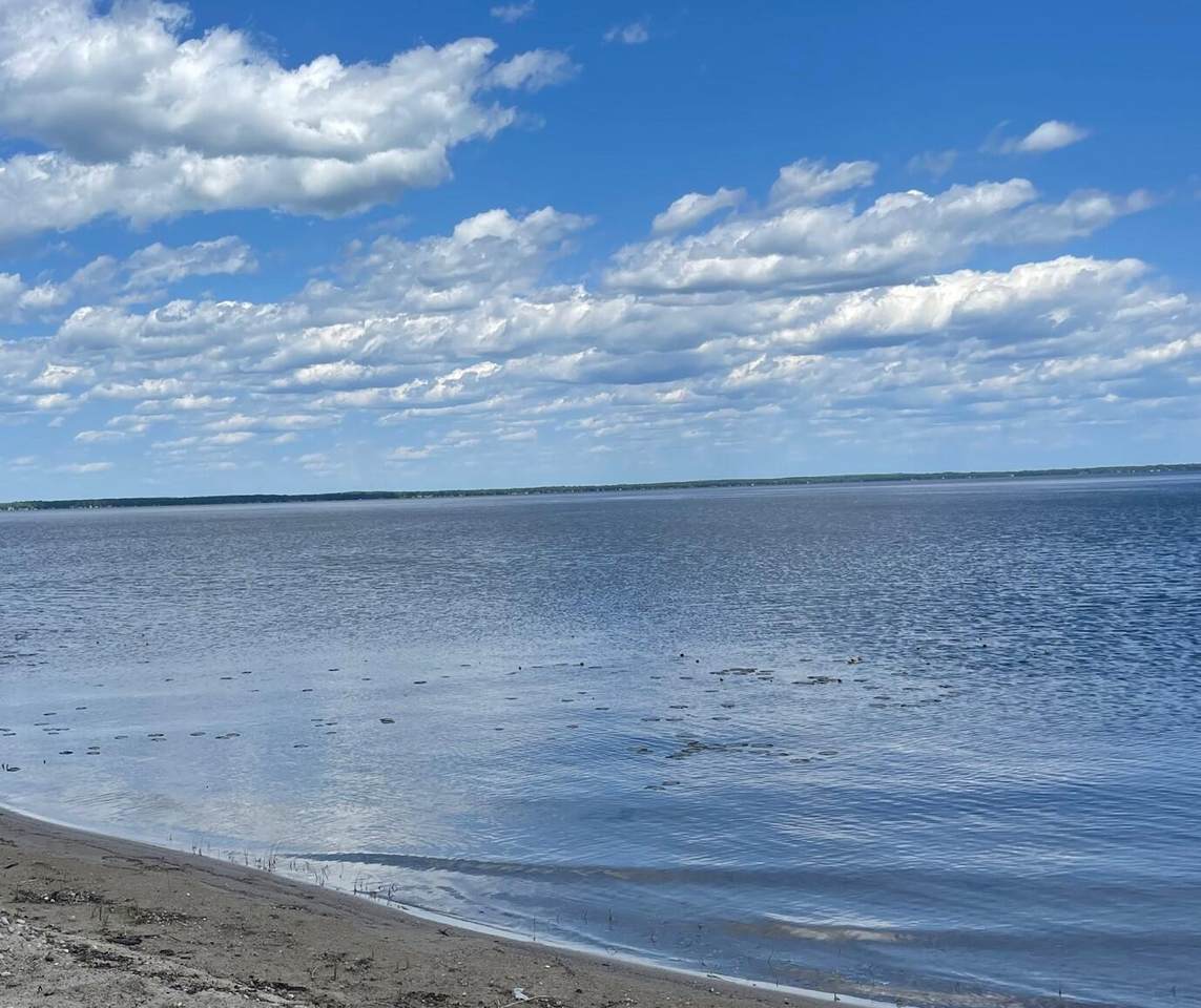 Houghton Lake Drive - Photo 1