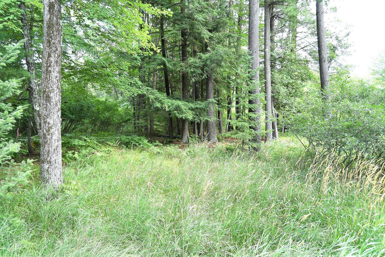 XXX Van Buren - Photo 1