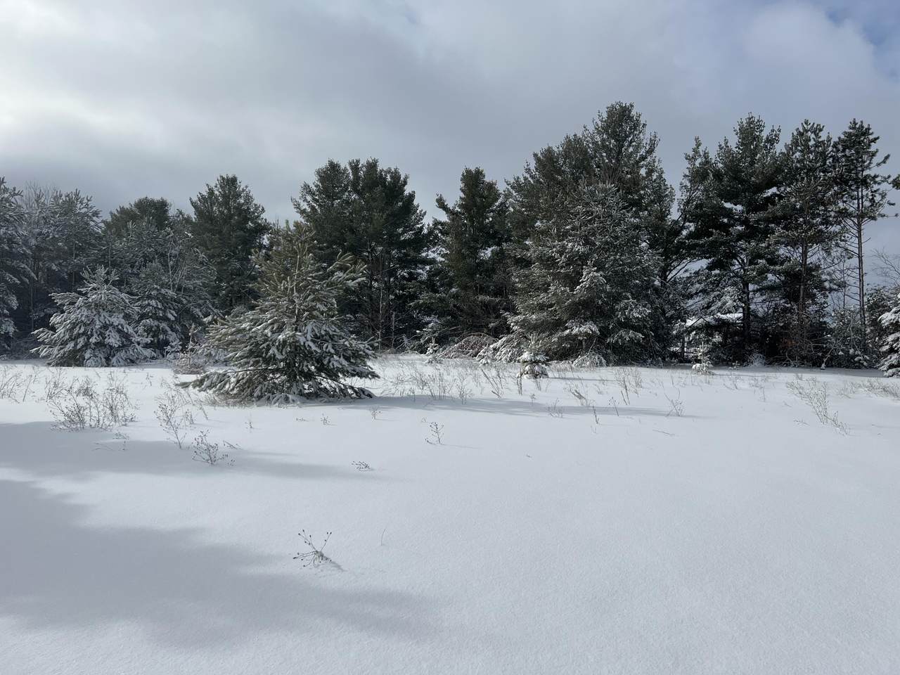 613 Classic Drive - Photo 1