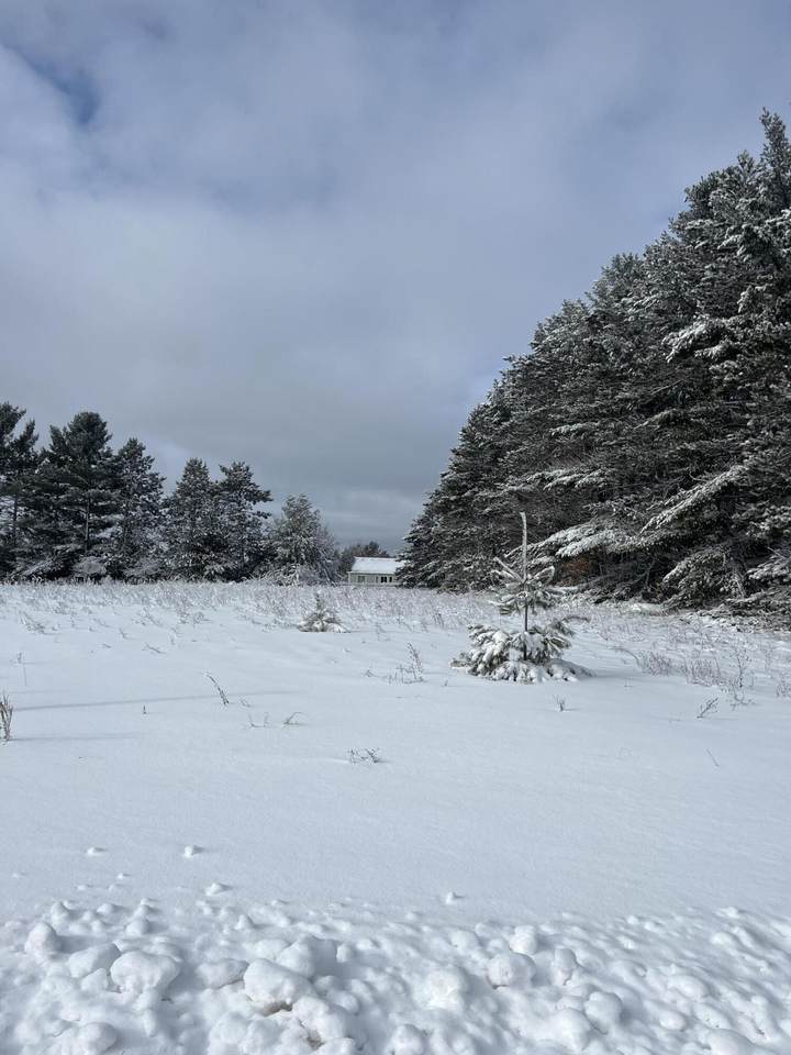 739 Classic Drive - Photo 1