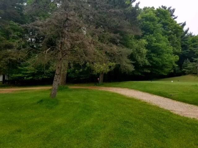 XXX White Deer Trail - Photo 1