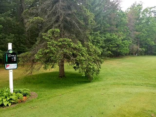 XXX Nestel Road - Photo 1