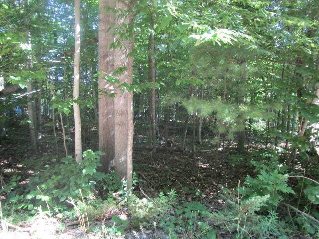 Cadotte - Photo 1