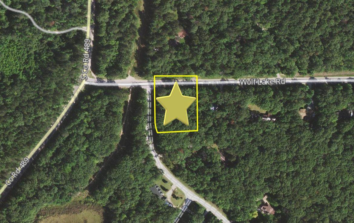 5085 Wolf Lake Drive - Photo 1