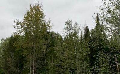 Pohl Road - Photo 1