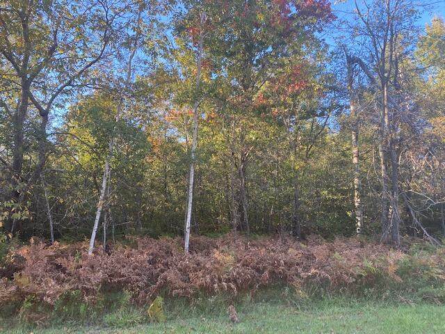 Lot 91 Elmac Circle - Photo 1