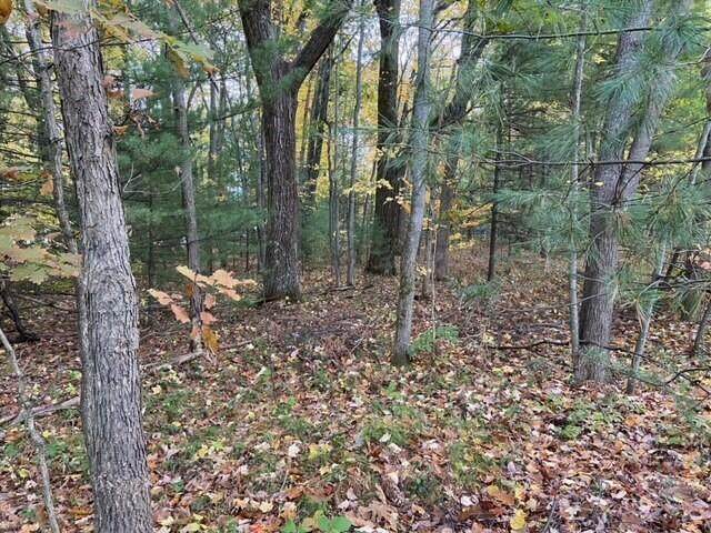 Lot 25/26 Wyckoff Drive - Photo 1