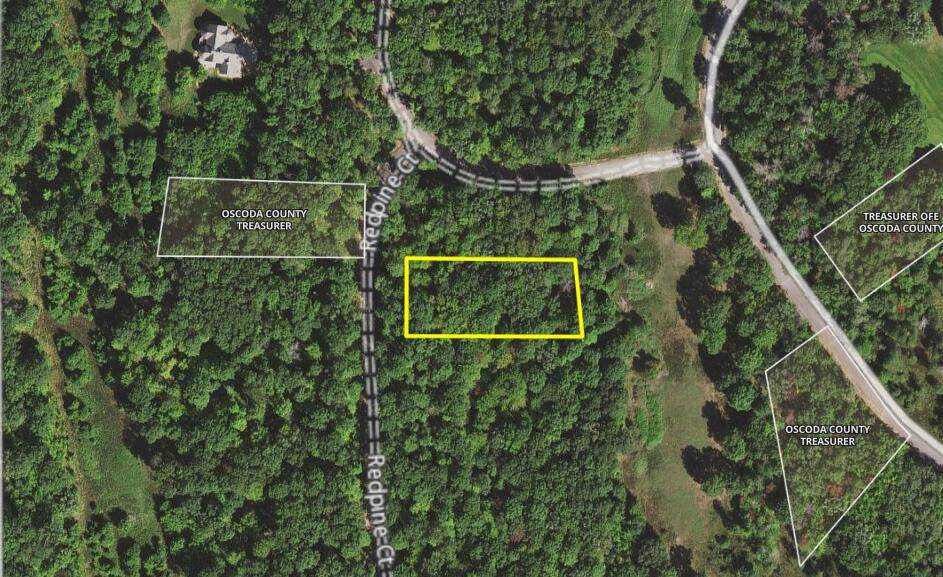525 Red Pine Court - Photo 1