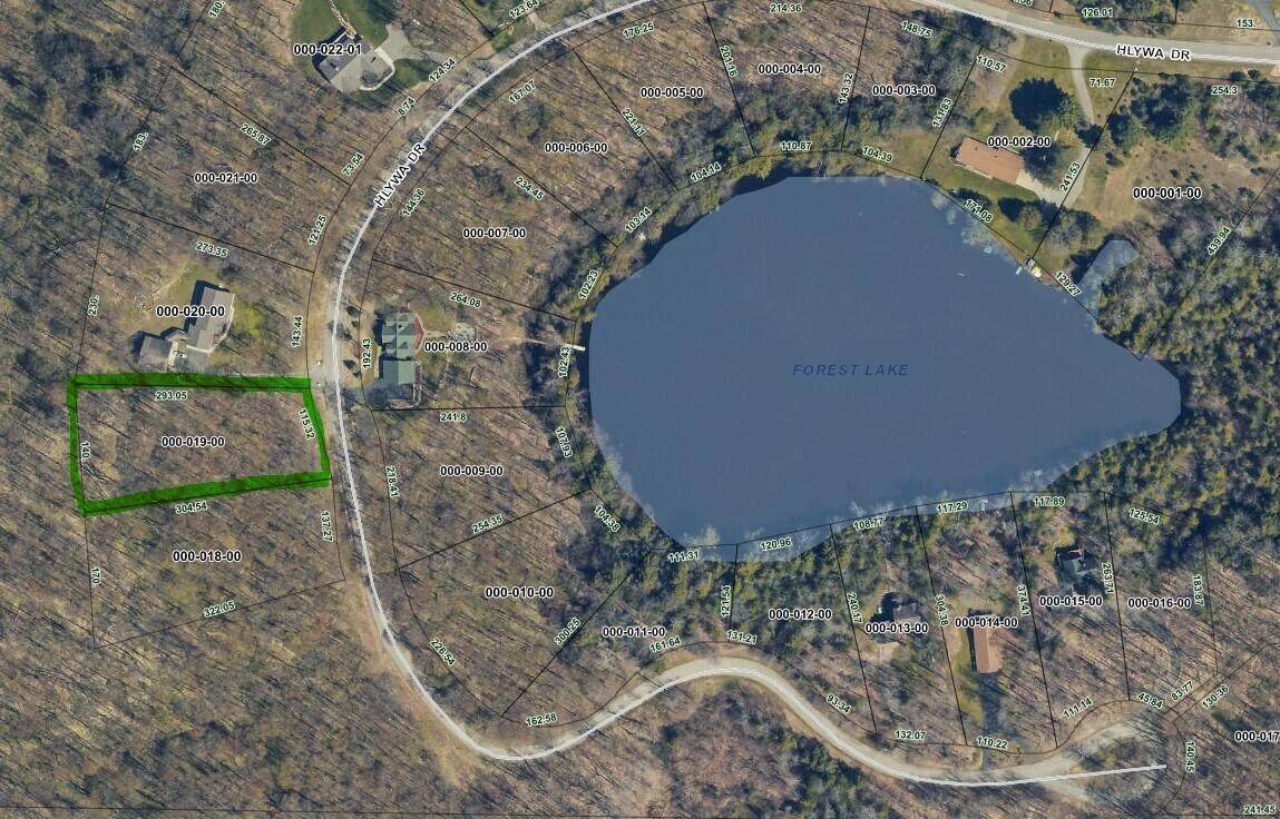 Hlywa Drive - Photo 1