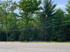 Houghton Lake Drive - Photo 1