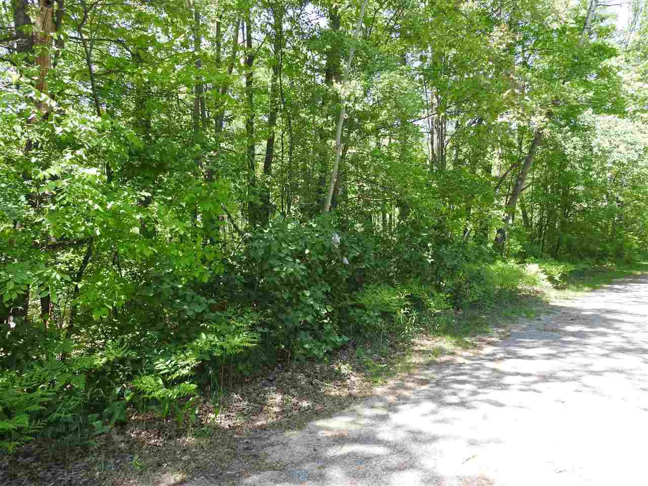 15-16 Houghton Lake Drive - Photo 1