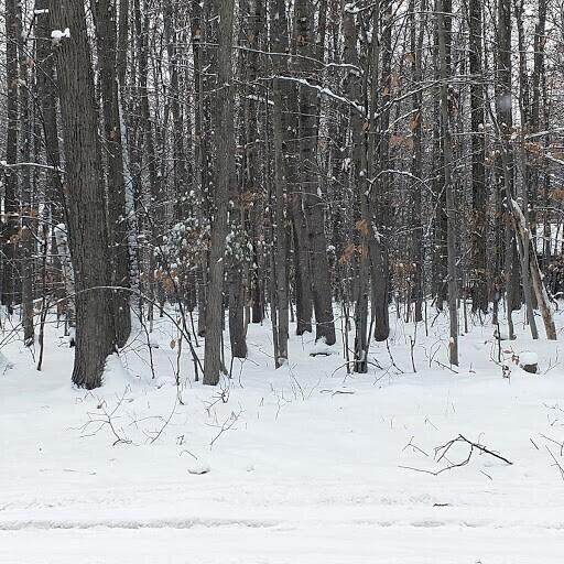 1695 Pheasant Run - Photo 1