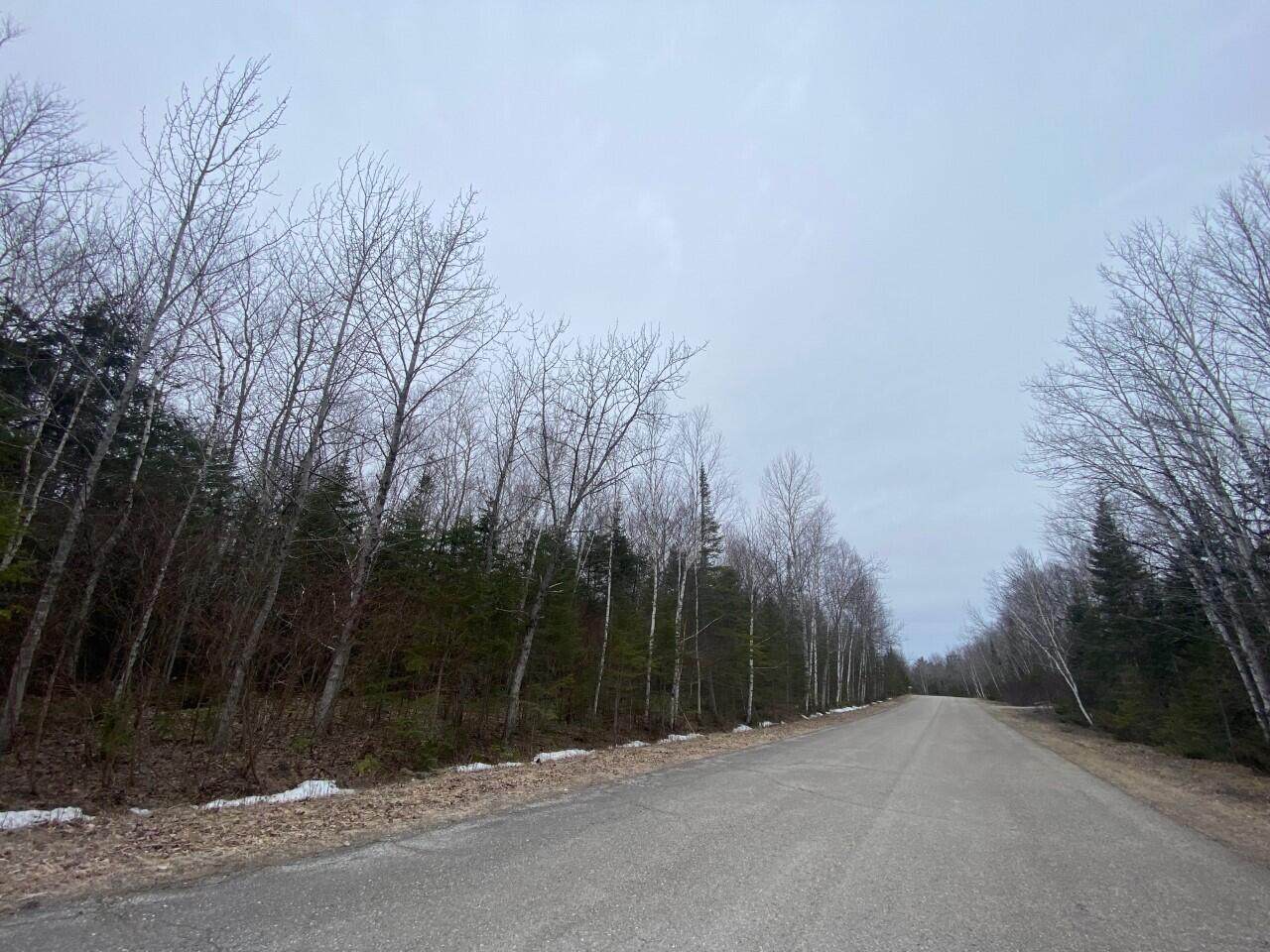 Lot 101 Timberway Drive - Photo 1