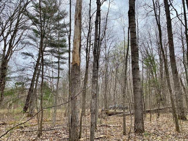 Lot 373 Mackinac Trail - Photo 1