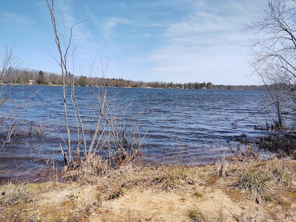 Lot 12 Lake May Road - Photo 1
