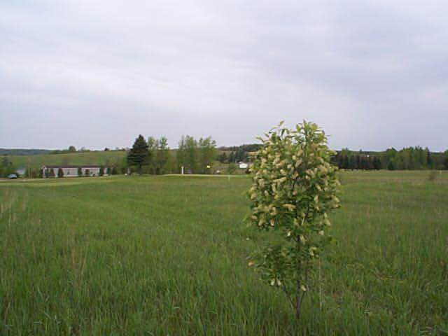 3700 Par 4 Drive - Photo 1