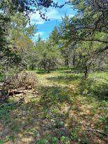 733 4 MILE Road - Photo 1