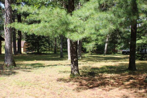 Pine Lane - Photo 1
