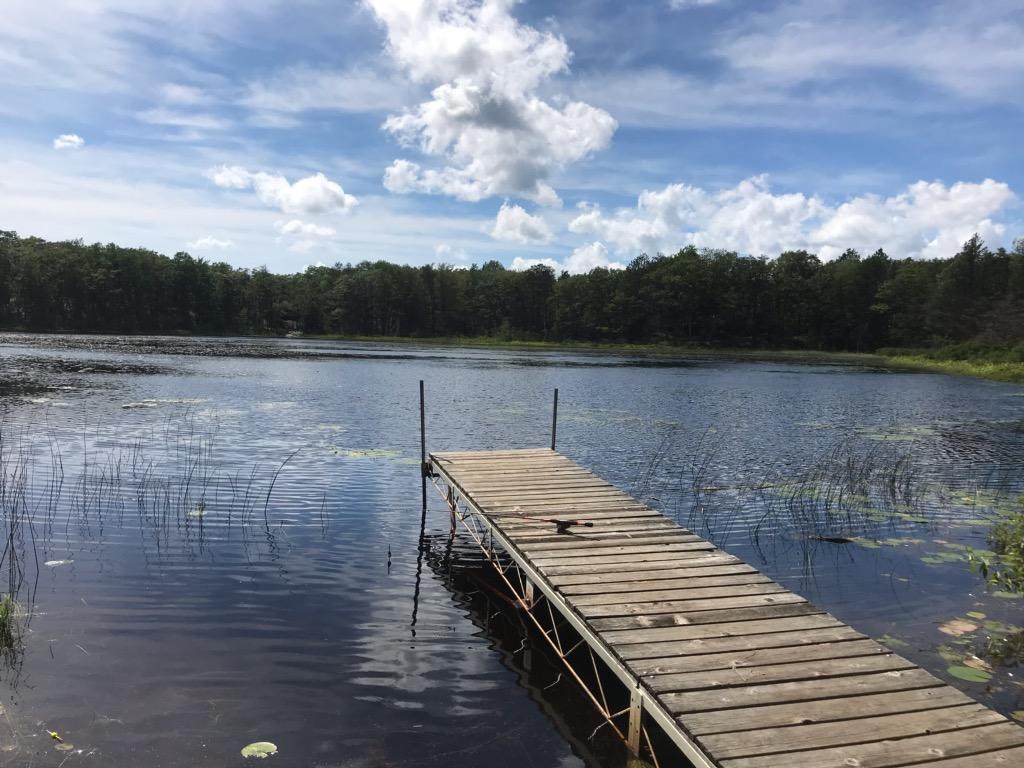 148 & 149 Chippewa Trail - Photo 1