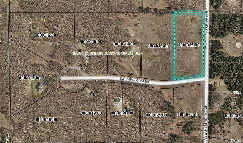 Lot 12 Palmetto Path - Photo 1