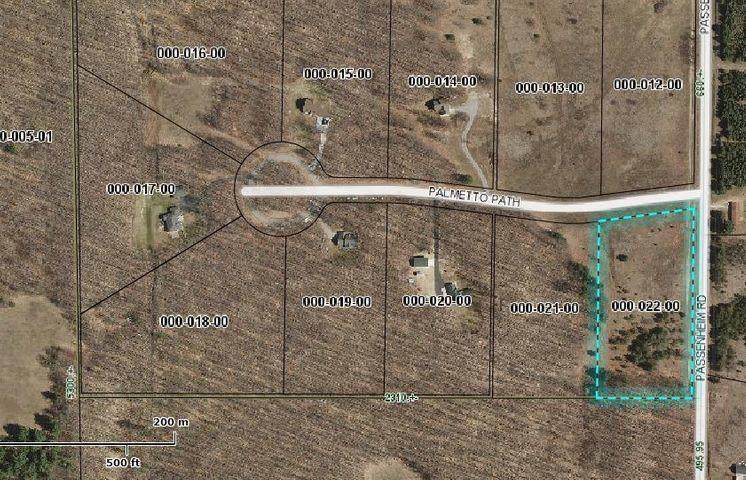 Lot 22 Palmetto Path - Photo 1