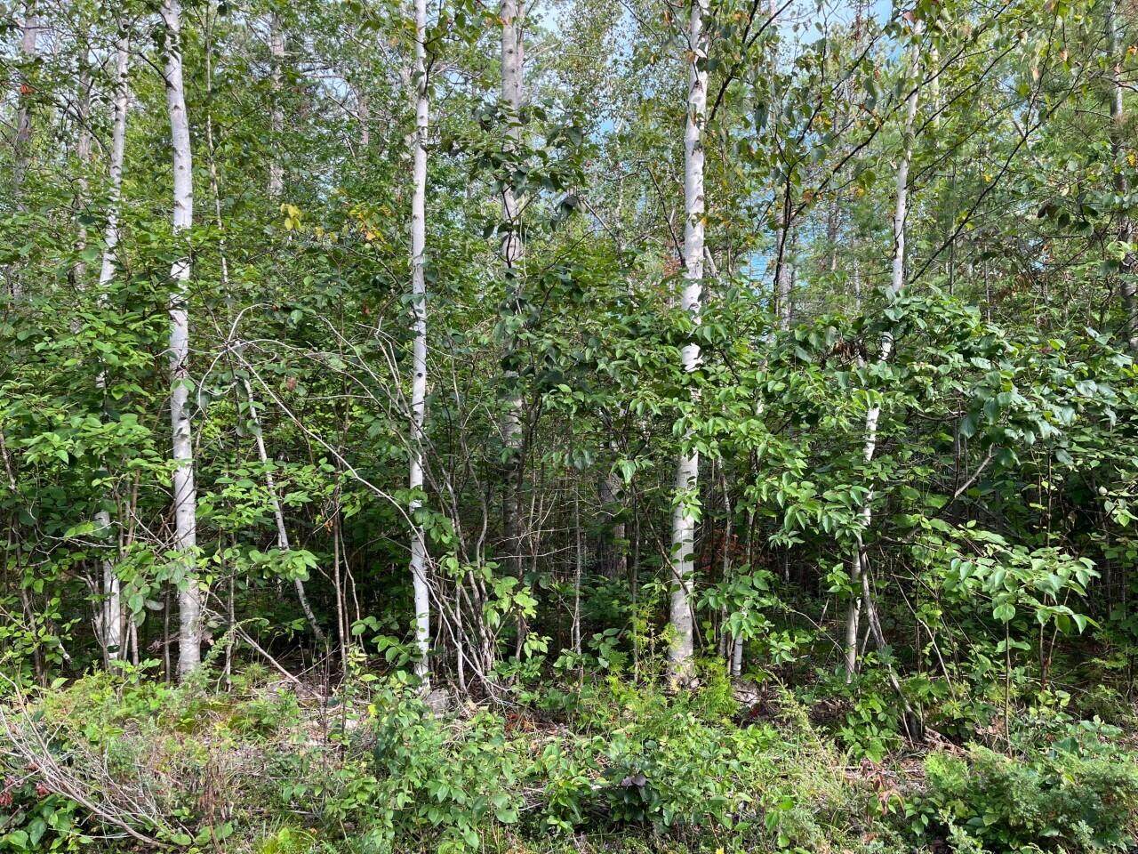 Lot 415 Bonita Drive - Photo 1