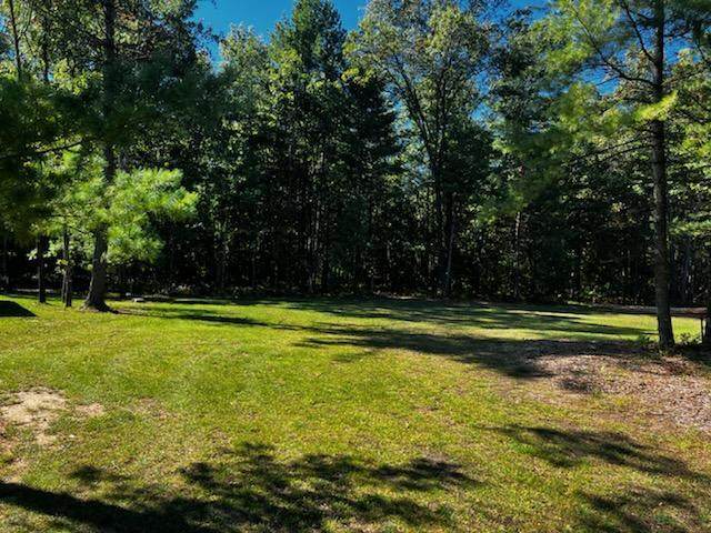308 White Fawn Court - Photo 1