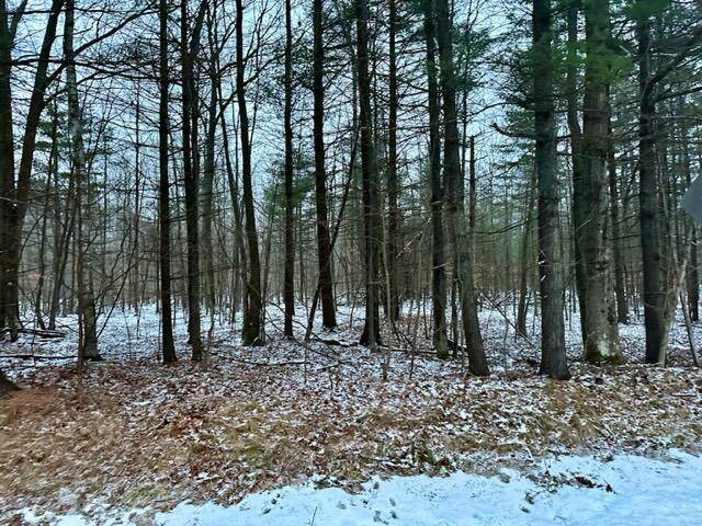 950 East Mullett Lake Road - Photo 1