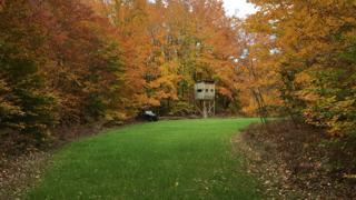 10856 Partridge Lane - Photo 1