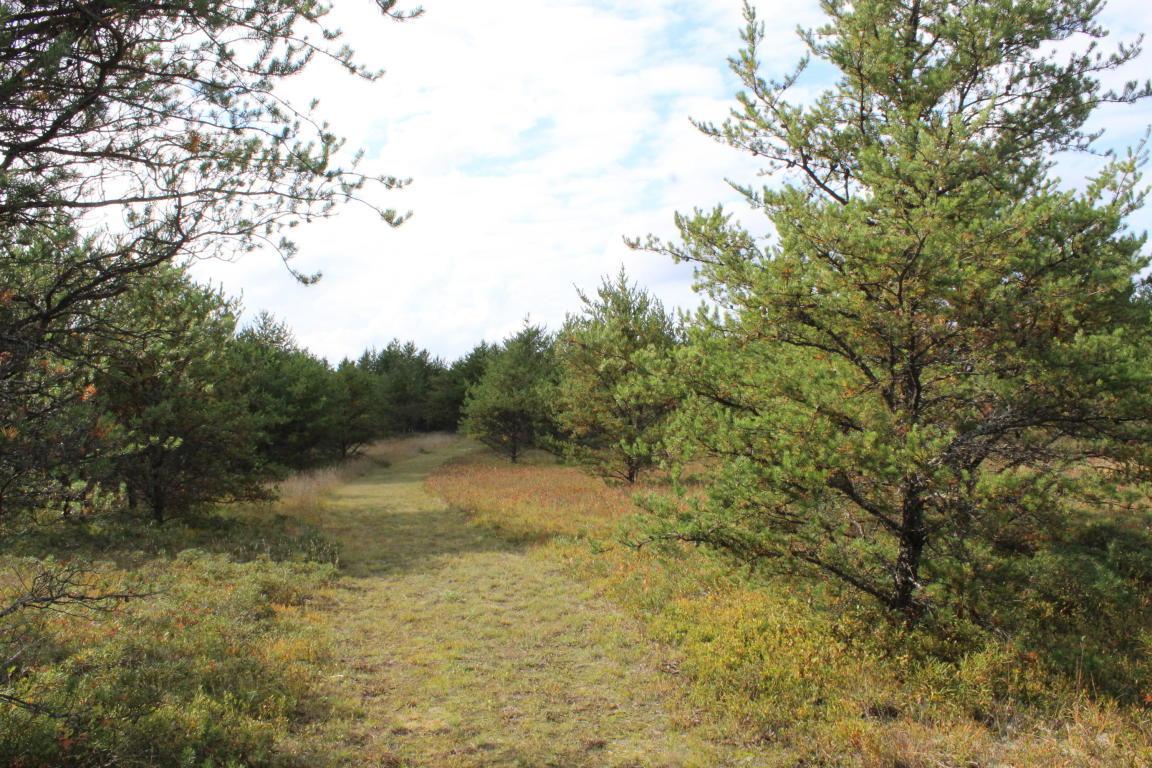 Dixson Drive - Photo 1