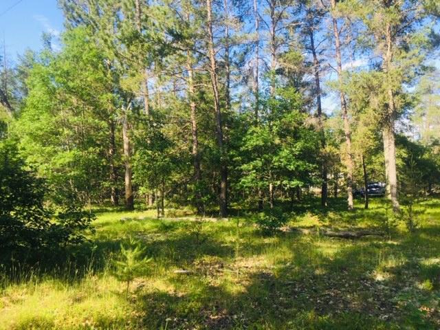 5440 Stephan Bridge Road - Photo 1
