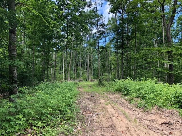00 Db Trail - Photo 1