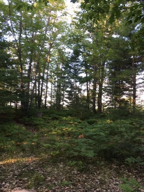 Lakeview Drive - Photo 1