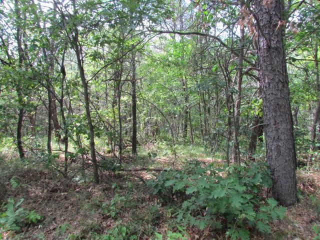 O'hara Road - Photo 1