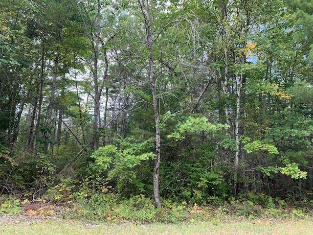 Lots 86-87 Belfair Drive - Photo 1