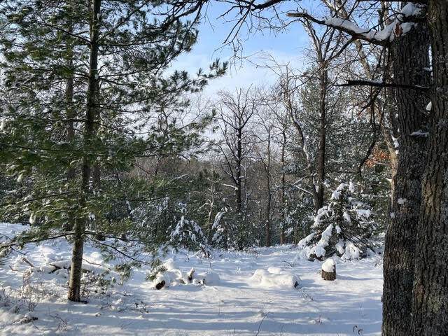 625&626 Dowsett Trail - Photo 1