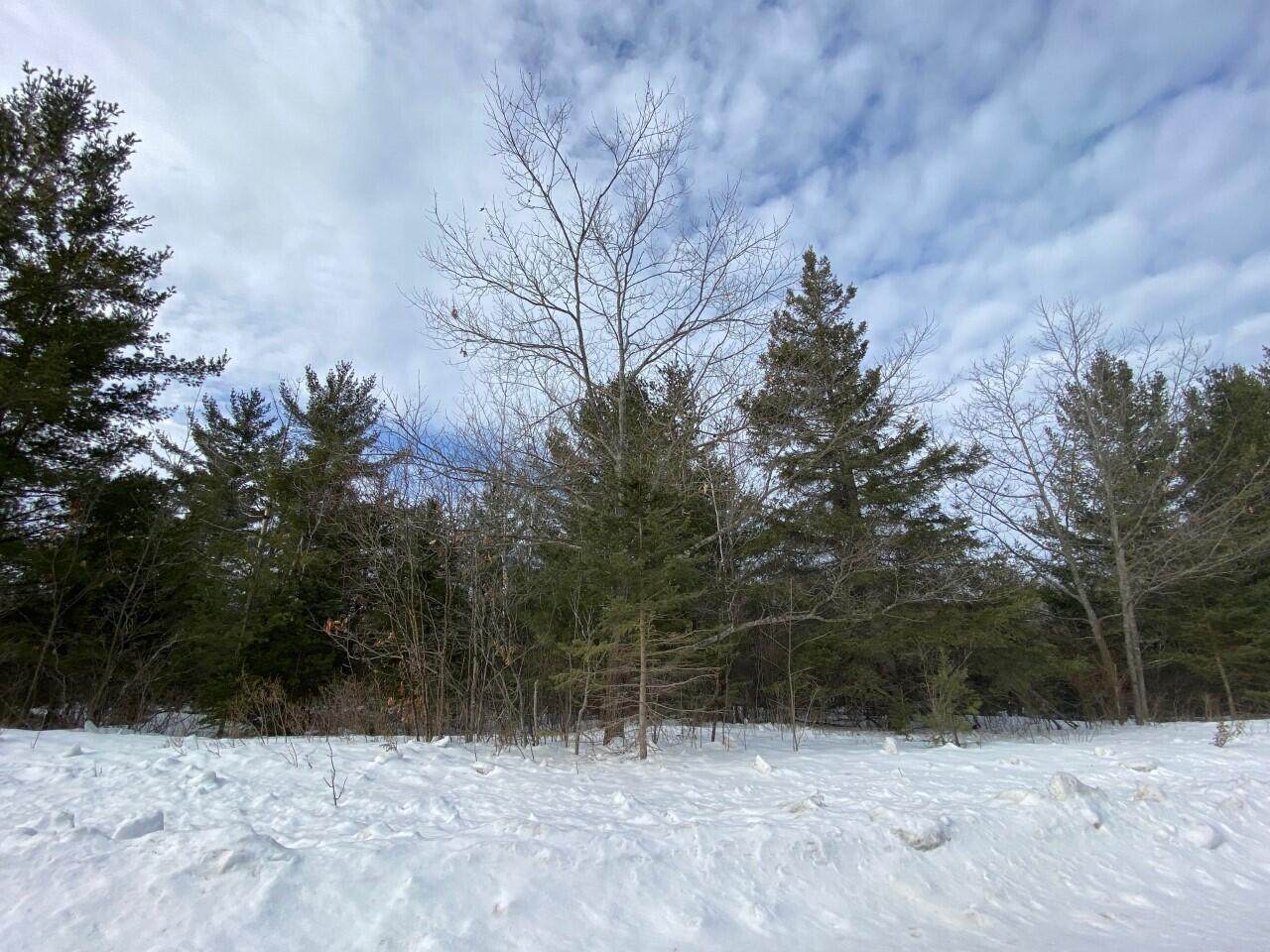 Lot 163 Pineview Drive - Photo 1
