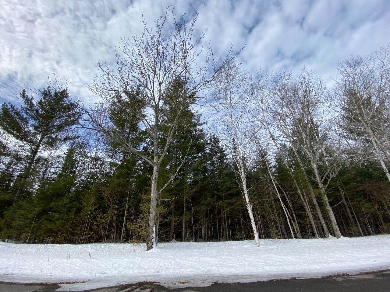 Wilderness Drive - Photo 1