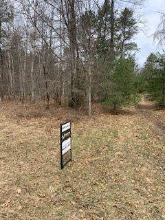 Jackpine Trail - Photo 1