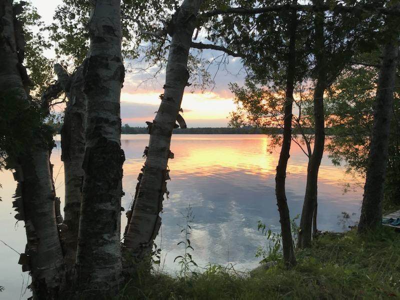 2725 Brevort Lake Road - Photo 1