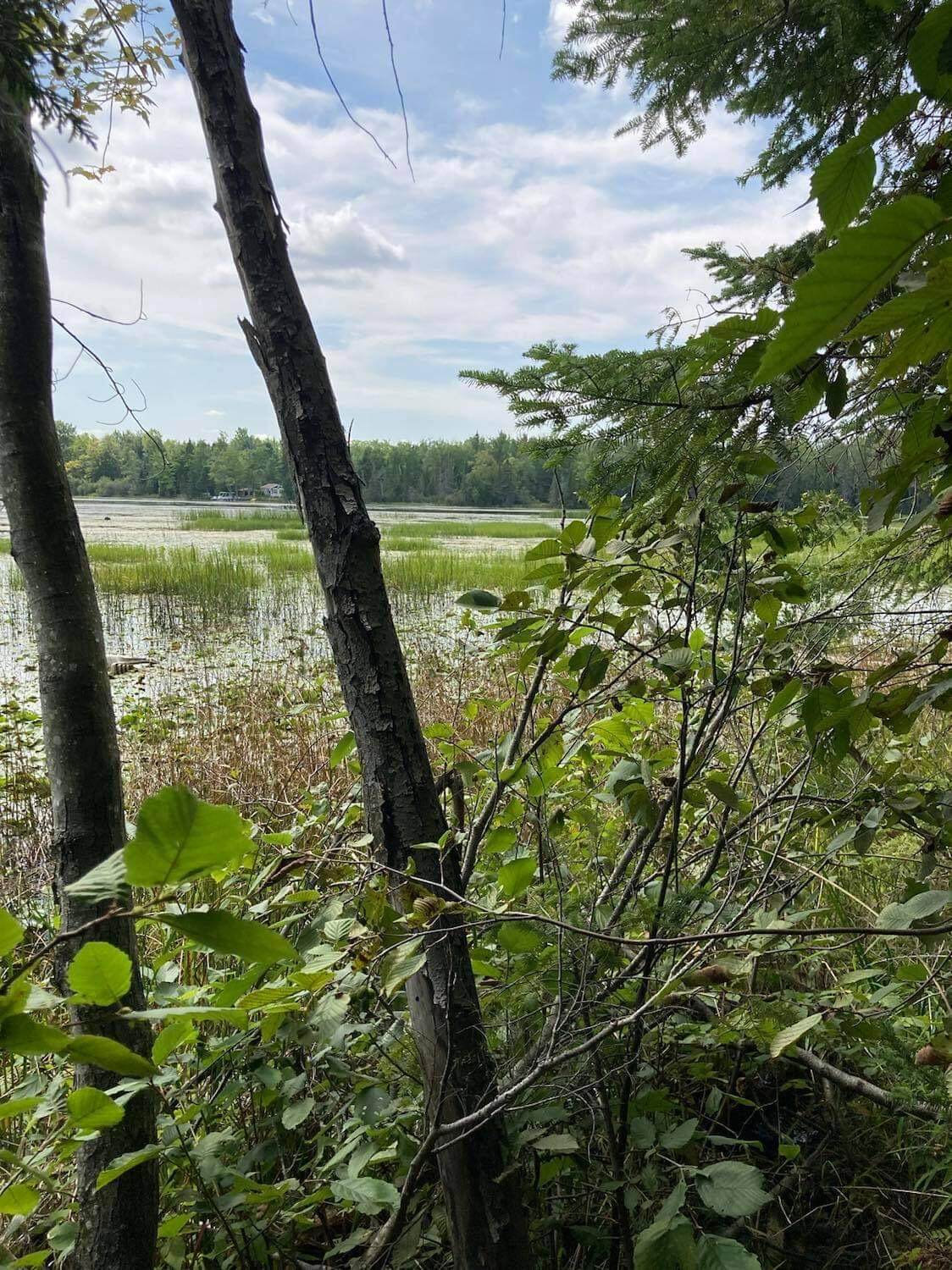 0 Long Rapids Road - Photo 1